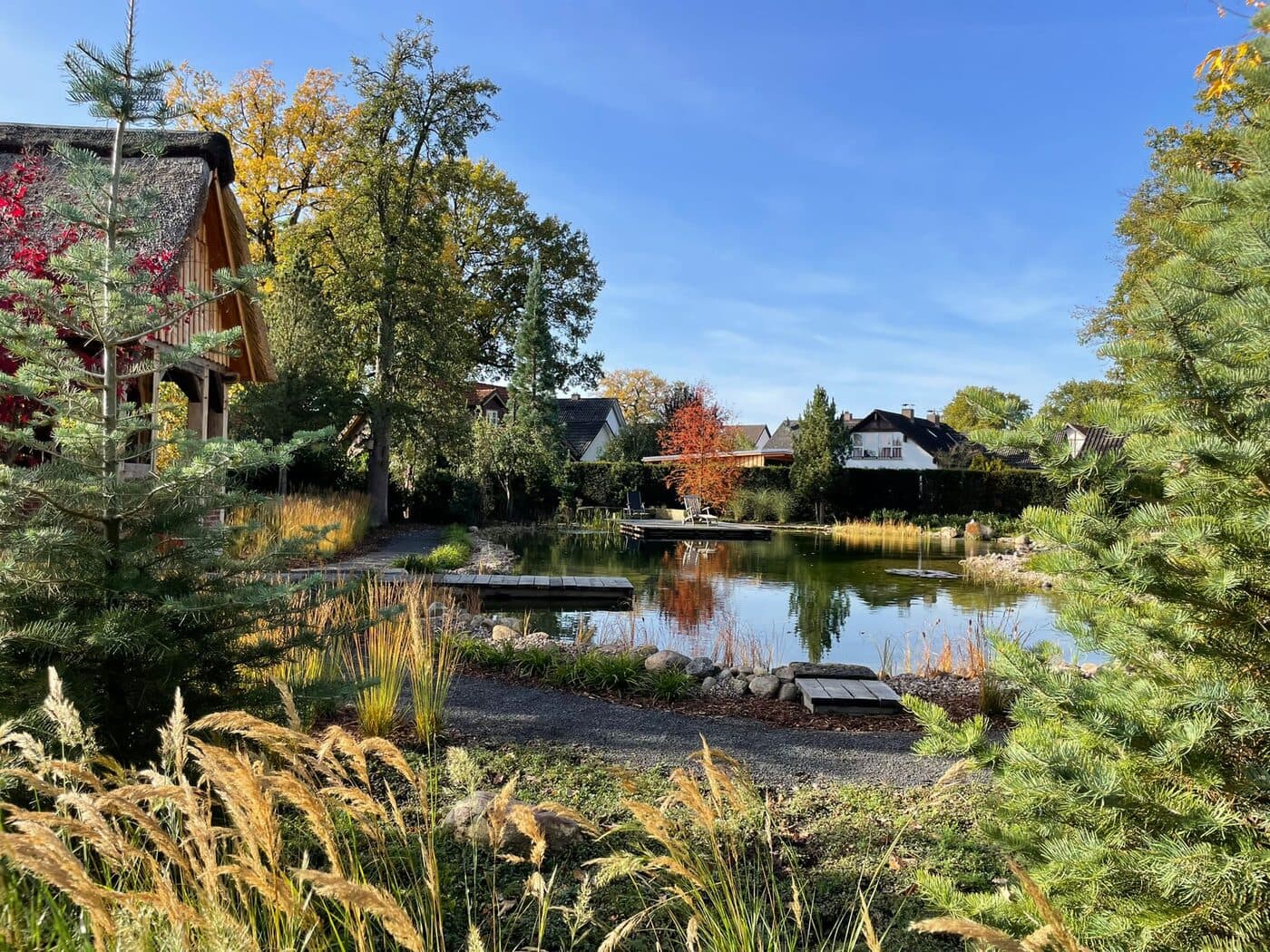 Naturnaher Schwimmteich mit Steg und herbstlicher Bepflanzung