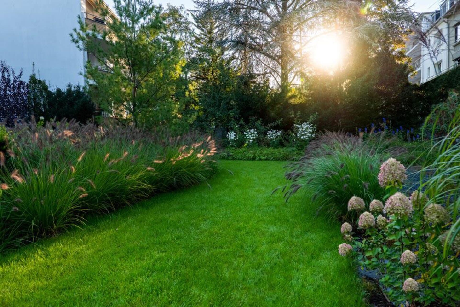 Gepflegter Garten mit Rasenfläche, Ziergräsern und blühenden Stauden im warmen Abendlicht – angelegt von Gartenkunst Lindenbaum
